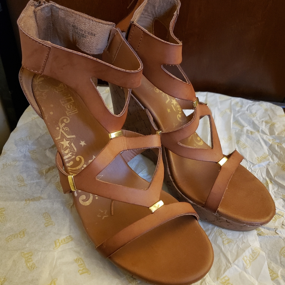 Brash brown wedges